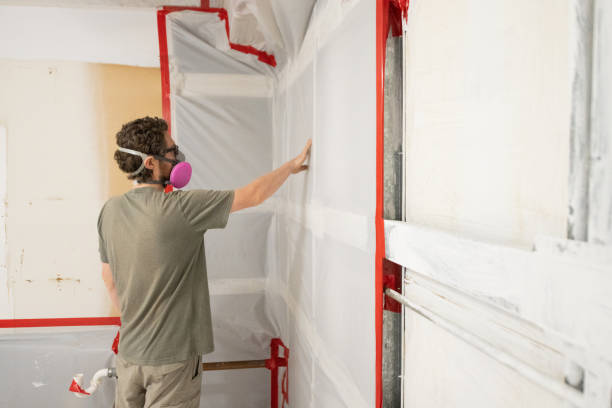 Best Asbestos and Lead Testing During Mold Inspection  in Essex Village, CT