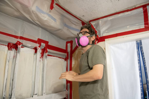 Best Water Damage & Mold Remediation  in Essex Village, CT