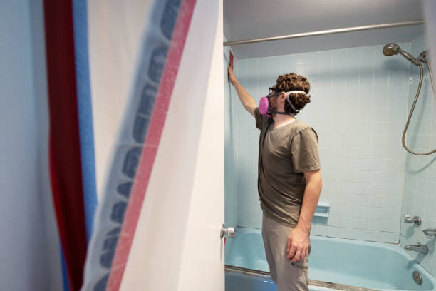 Best Biohazard Mold Removal  in Essex Village, CT