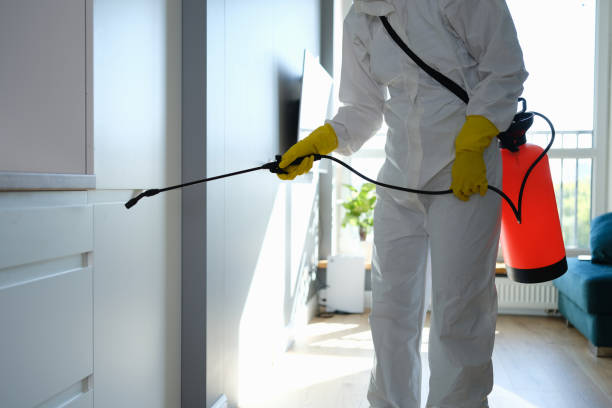 Professional Mold Removal in Essex Village, CT